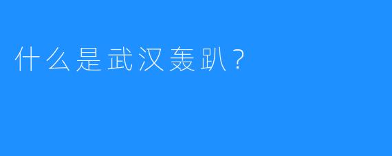 什么是武汉轰趴？