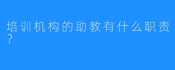 培训机构的助教有什么职责?