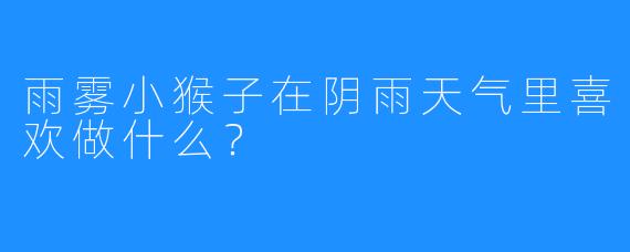 雨雾小猴子在阴雨天气里喜欢做什么？