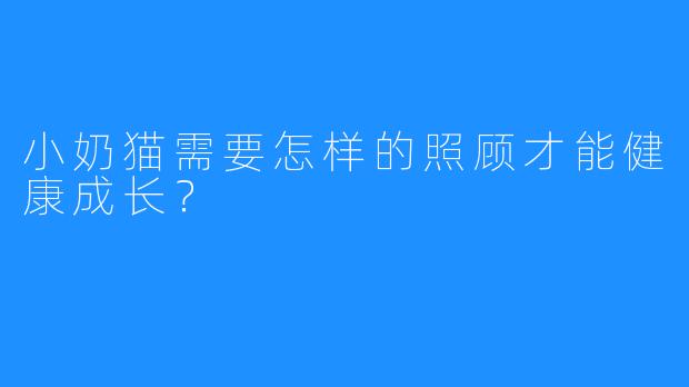 小奶猫需要怎样的照顾才能健康成长?