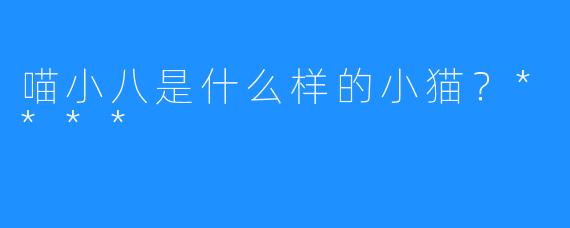 喵小八是什么样的小猫?****