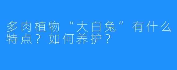多肉植物“大白兔”有什么特点?如何养护?