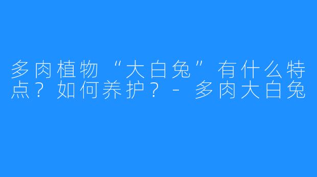多肉植物“大白兔”有什么特点?如何养护?-多肉大白兔