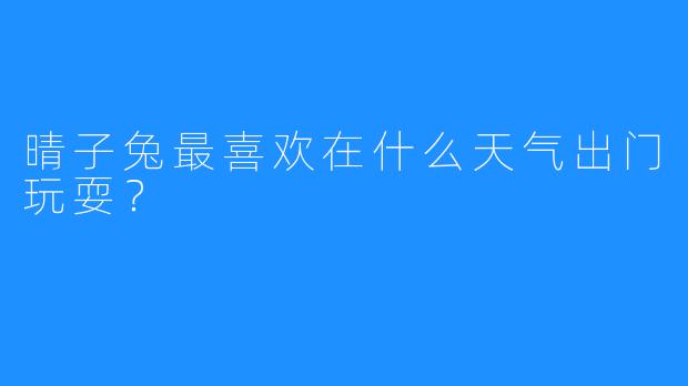 晴子兔最喜欢在什么天气出门玩耍?