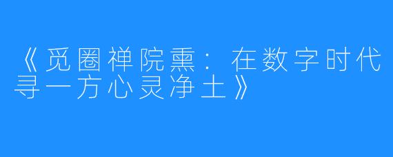 《觅圈禅院熏:在数字时代寻一方心灵净土》
