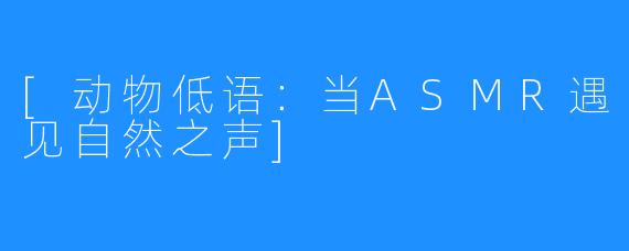 [动物低语：当ASMR遇见自然之声]