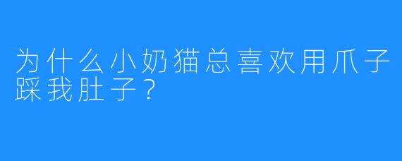 为什么小奶猫总喜欢用爪子踩我肚子？