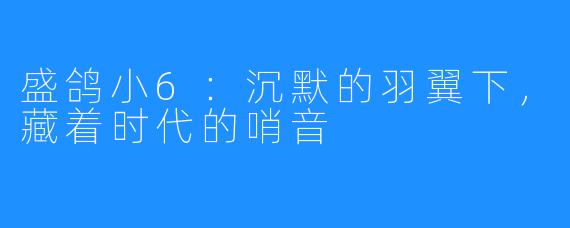 盛鸽小6：沉默的羽翼下，藏着时代的哨音