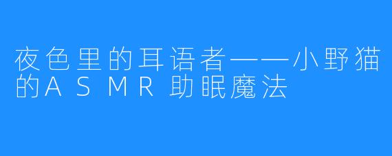 夜色里的耳语者——小野猫的ASMR助眠魔法