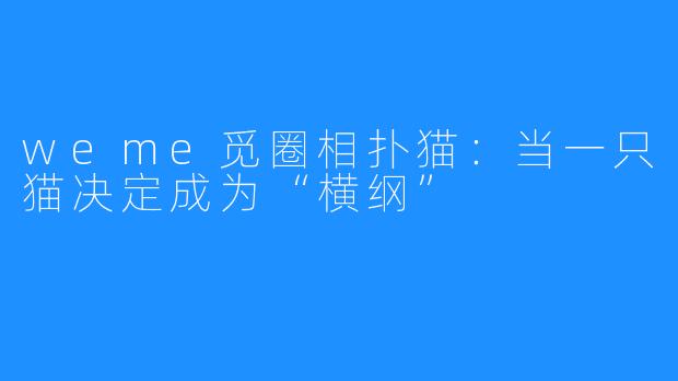 weme觅圈相扑猫:当一只猫决定成为“横纲”