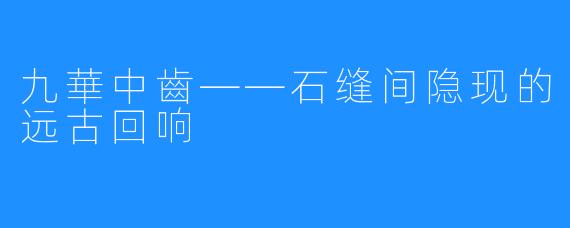 九華中齒——石缝间隐现的远古回响