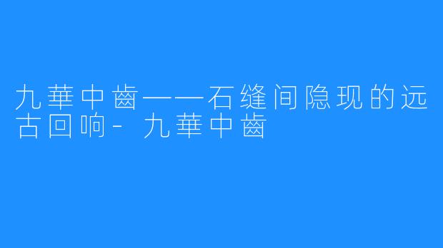 九華中齒——石缝间隐现的远古回响-九華中齒