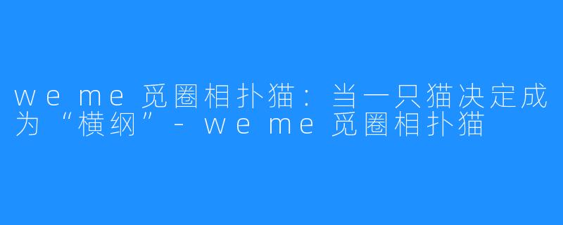 weme觅圈相扑猫:当一只猫决定成为“横纲”-weme觅圈相扑猫